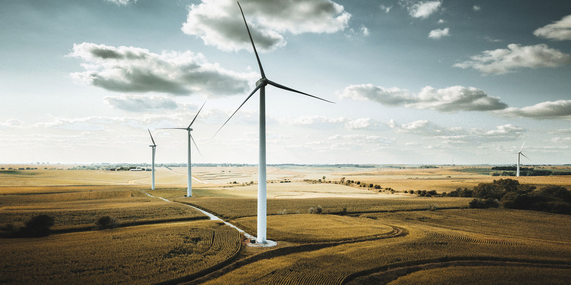 Field of wind turbines