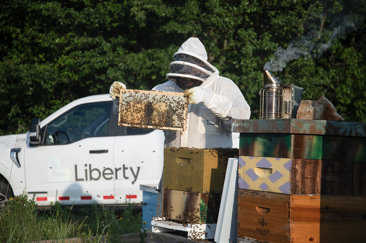 Let's talk about the birds and the bees: Learn how Liberty works to protect wildlife, habitats, and our planet