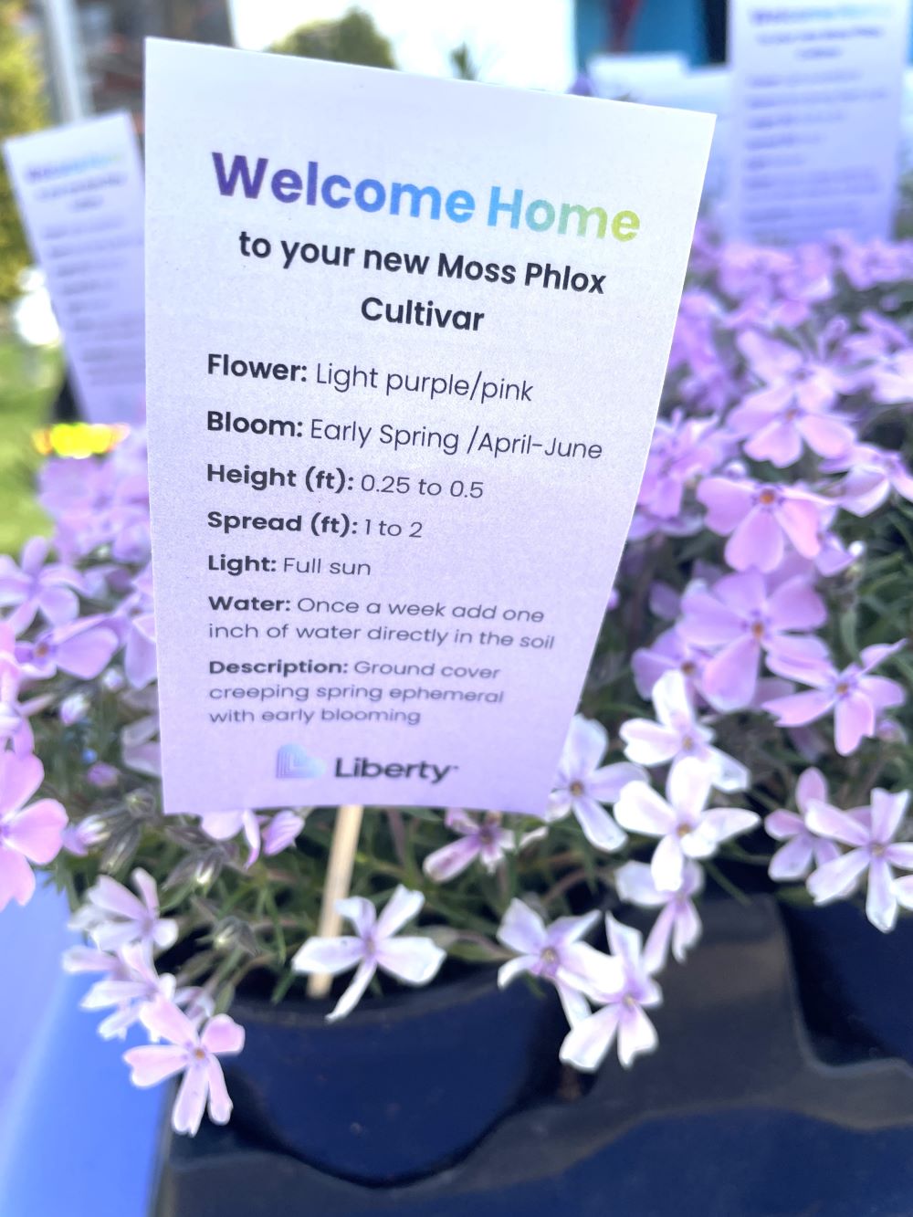 Earth Day Plant Giveaway